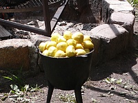 L1190380