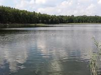 20140726 124532