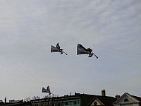 DSC05531