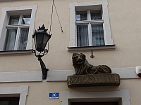 DSC05565