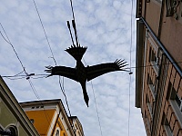 DSC05592