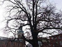 DSC05606
