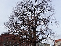 DSC05609