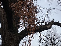 DSC05610
