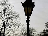 DSC05630
