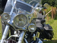 DSC 7541