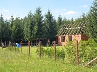 DSC 7551
