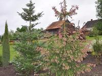 DSC 0053