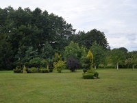 DSC 7583