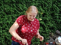 DSC 0471