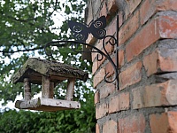 DSC 4867
