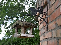 DSC 4869