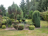 DSC 4873
