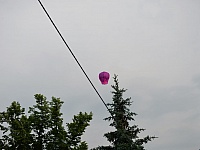 DSC 4586