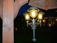 DSC 7254